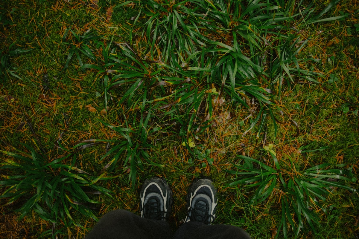 Article on stress management